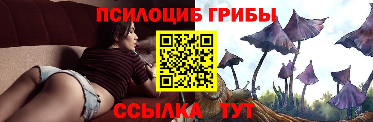 Сергиев Посад  Псилоцибиновые грибы прущие грибы  Вход с VPN 
